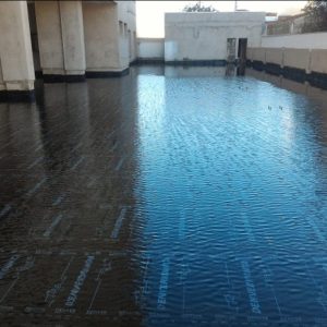 WhatsApp Image 2026-03-02 at 20.03.00 (2)