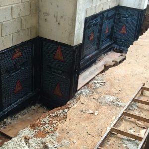 WhatsApp Image 2026-03-02 at 20.03.01